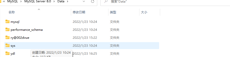 data 目录