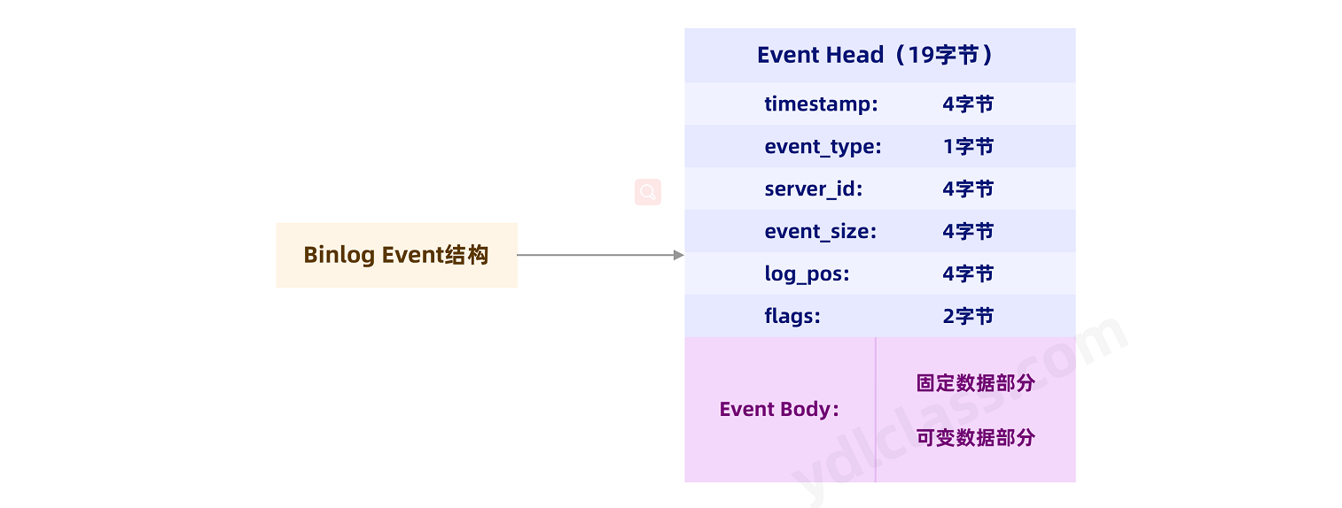 event 结构