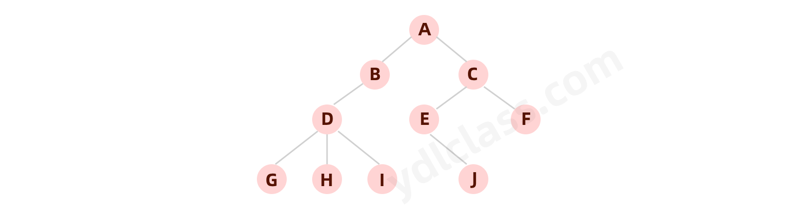 图2.1 普通树